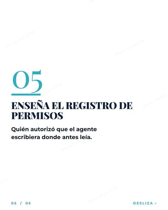 Lámina 6 de 7